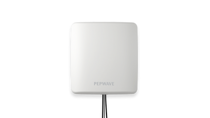 Peplink IoT 20G